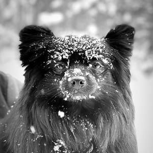 Meet your Posher, Nancy